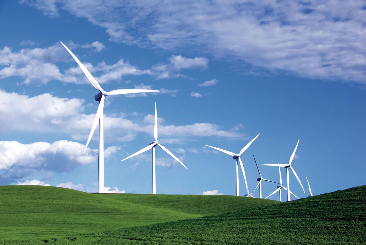 Wind turbines in a wind farm